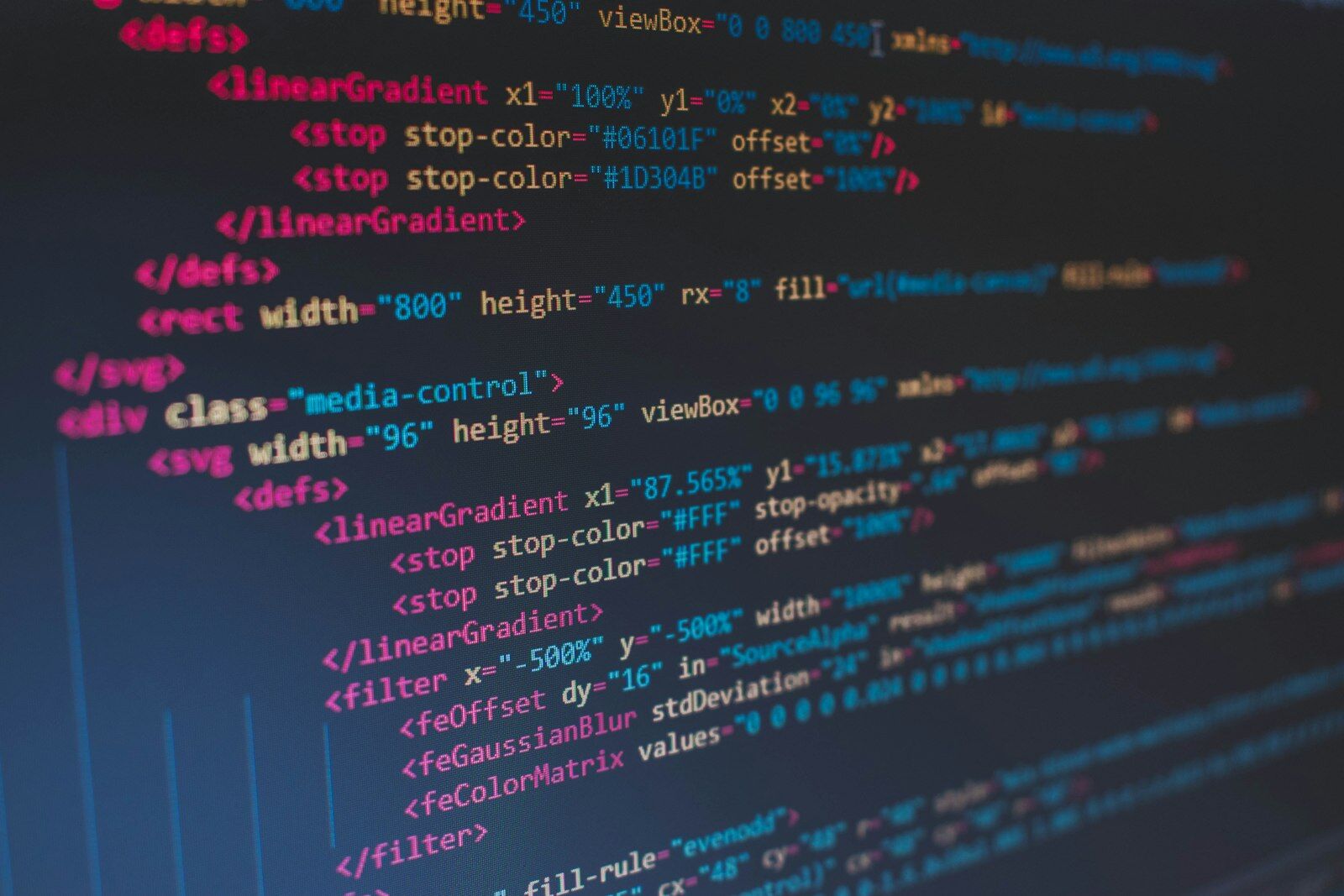 Developpeur travaillant sur du code WordPress